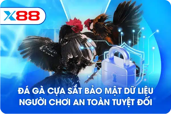 Đá gà cựa sắt bảo mật dữ liệu người chơi an toàn tuyệt đối